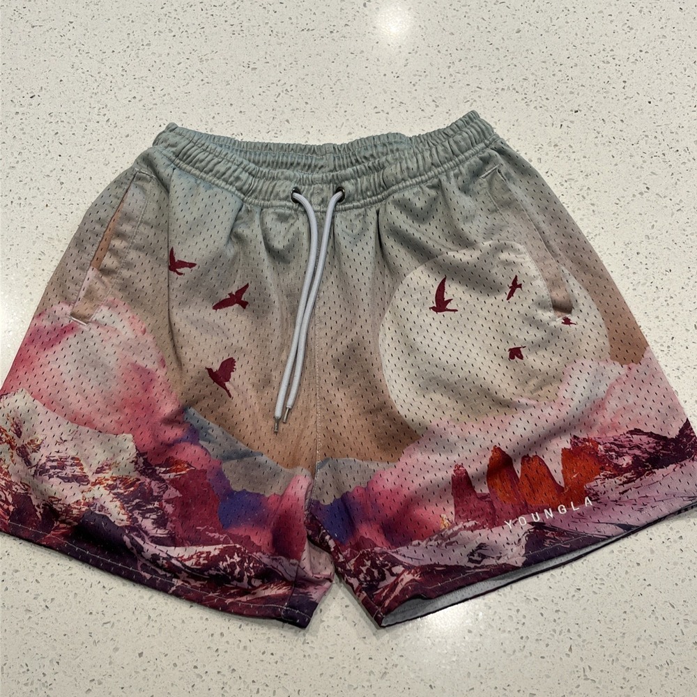 YoungLA 141 Block Party Sedona Sunrise Mesh Gym Shorts Men's Sz Small Stretch 4"